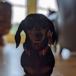 Tammy Atchison - @tammy.atchison.3 - Instagram