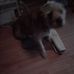 Tammy Authement - Facebook