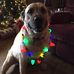 Tami Autry - Facebook