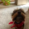 Tammi Autry Miller (voo) - @tammimiller655 - TikTok