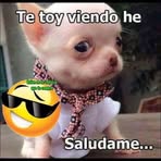 Tammy Avalos - Facebook
