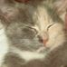 Tammy Babb - Facebook