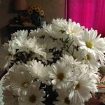 Tammy Babb - @babb413 - Instagram