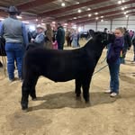 Tammy Bach - @ctamshere1 - Instagram