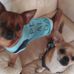 Tammy Bach - Facebook