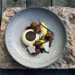 Tammy Bach - @lammertmarry - Instagram