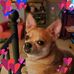 Tammy Bach - Facebook
