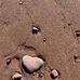 Tammy Reid-Bach - Facebook