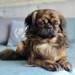 Tammy Bacon - @tibbiebits - Instagram