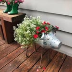 Tammy Bacon - @tjbacon1964 - Instagram