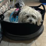 Tammy Bacon Stephens - @tammy.1551 - Instagram