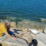 Tammy Badger - @azletj - Instagram