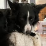 Tammy Baer - @tammybaer85 - Instagram