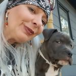Tammy Bagley King - @tammybagleyking - Instagram