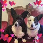Tammy Bain - @baint71 - Instagram