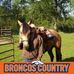 Tammy Bain - Facebook