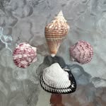 Tammy Bain - @bain_tammy - Instagram