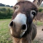 Tammy Bane Mcgraw - @tamtam_26 - Instagram