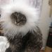 Tammy Banfield - Facebook