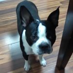 Tammy Barbee - @otissmom129 - Instagram