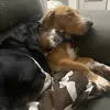 Tammy Barbee - @tammy.barbee - TikTok