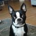 Tammy Barclay - Facebook