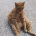 Tammy Barclay - Facebook