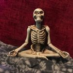 Tammy Tywater-Barclay - @birdsandbees2013 - Instagram