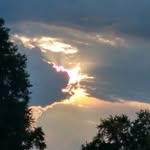 Tammy Barger - @tammy_barger - Instagram