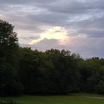 Tammy Barger - @tmbarger2 - Instagram