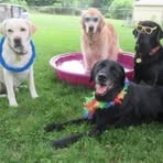 Tammy Bartz - Facebook