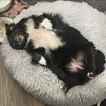 Tammy Bartz - @tam115.tb - Instagram