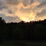 Tammy Batson - @tami_batson - Instagram