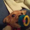 Tammy Baylor - @tammybaylor - TikTok