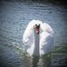 Tammy Beckwith-Baker - Facebook