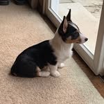 Tammy Rought-Beckwith - @kyash711 - Instagram
