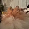 iamtammybee - @iamtammybee - TikTok