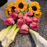 Tammy Bee - @tammy_bee_w - Instagram