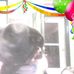 Tammy Beer - Facebook