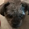 tammybrinkerbeggs - @tammybrinkerbeggs - TikTok