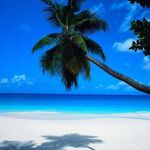 Tammy Behm - @behmtammy - Instagram
