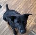Tammy Beisner - Facebook