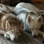 Tammy Beilstein - @subkenn - Instagram