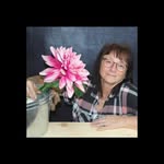 Tammy Belanger - @tammy.belanger1 - Instagram