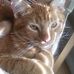 Tammy Benefield - Facebook