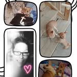 Tammy Benoit - @tammycarolbenoit - Instagram