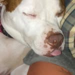Tammy Benoit - @tammy.benoit.735 - Instagram