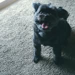 Tammy Benoit - @tammybenoit6045 - Instagram