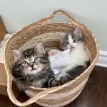 Tammy Benoit-cherniak - @ta.mmy390 - Instagram