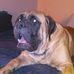 Tammy Berkey - Facebook